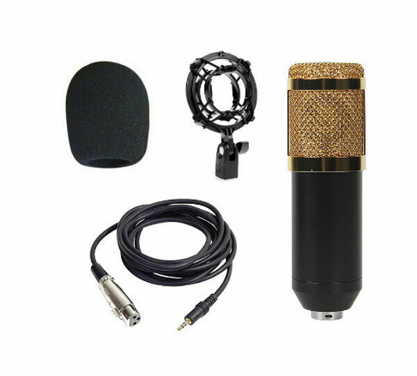 Condenser Microphone Live Streaming Equipment Kit JIY-BM800-Regular-Gold (Standard)