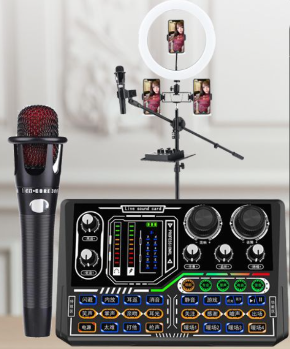 P16 Live Streaming Equipment Set (P16 + E300 + Floor Fill Light Bracket + Headphones + OTG Cable)