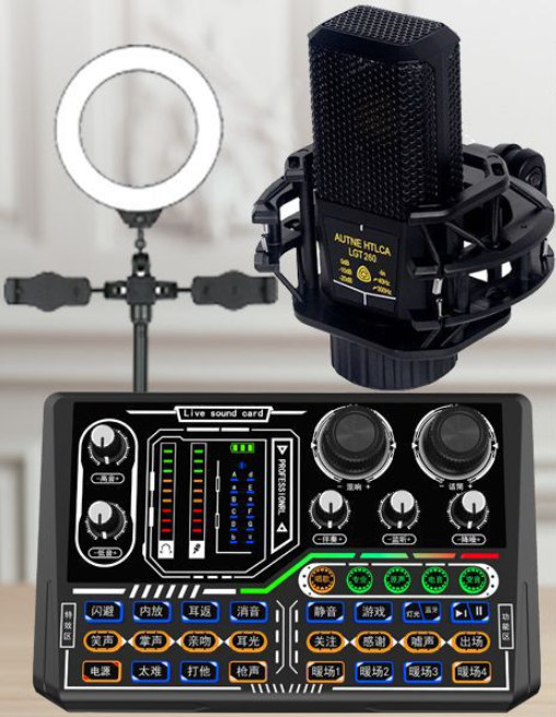 P16 Live Streaming Equipment Set (P16+260+Duck Palm Microphone Bracket + Desktop Fill Light Bracket + Headphones + OTG Cable)