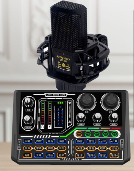 P16 Live Streaming Equipment Set (P16 + 260 + Duck Palm Microphone Stand + Disc Mobile Phone Holder + Headset + OTG Cable)