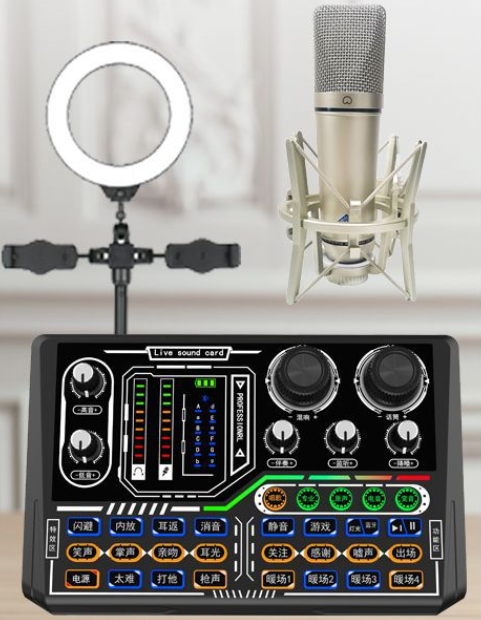 P16 Live Streaming Equipment Set (P16 + U87 + Duck Paw Bracket + Desktop Fill Light Bracket + Headset + OTG Cable)