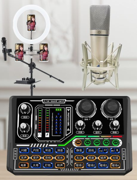 P16 Live Broadcast Equipment Set (P16 + U87 + Duck Microphone Bracket + Floor Fill Light Bracket + Headset + OTG Cable)