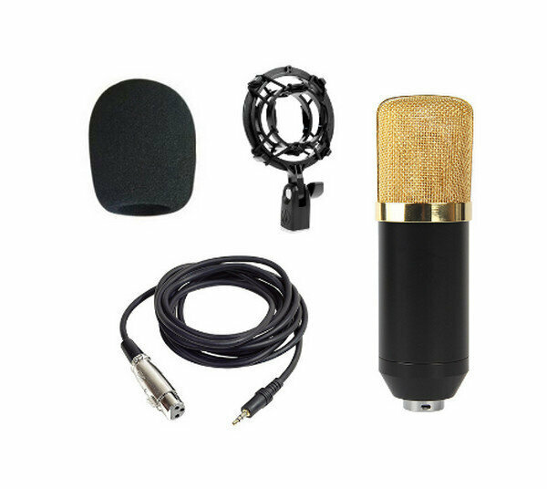 Condenser Microphone Live Streaming Equipment Kit JIY-BM800-Duckbill Model-Gold (Standard)