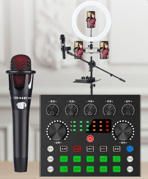 V80 Live Streaming Equipment Set (V80 + E300 + 26CM Fill Light Floor Stand + Headset + OTG (Choose One of the Two))