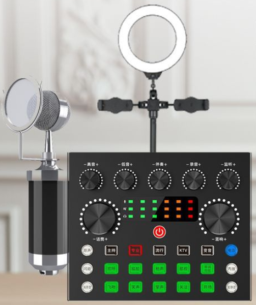 V80 Live Streaming Equipment Set (V80 + Baby Bottle Black + Duck Palm Microphone Bracket + 16CM Fill Light Desktop Bracket + Headphones + OTG (Choose One of the Two))