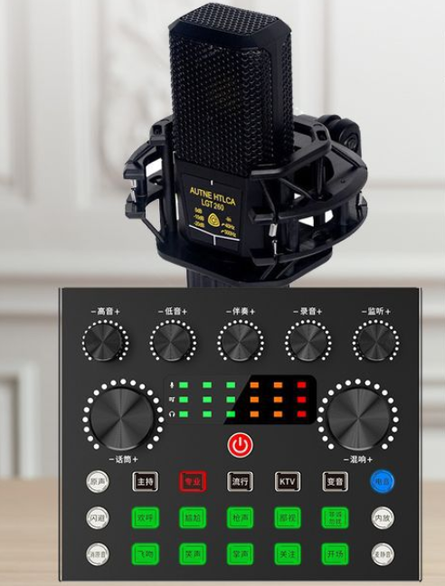 V80 Live Streaming Equipment Set (V80+260+Duck Palm Microphone Stand + Disc Mobile Phone Holder + Headset + OTG (Choose One))