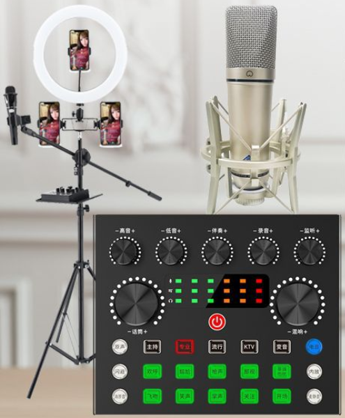V80 Live Streaming Equipment Set (V80 + U87 + Cantilever Microphone Stand + 26CM Fill Light Floor Stand + Headphones + OTG (choose one of the two))