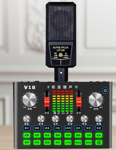 V18 Live Streaming Equipment Set (V18+240+Duck Palm Microphone Stand + Disc Mobile Phone Holder + Headset + OTG (Choose One))