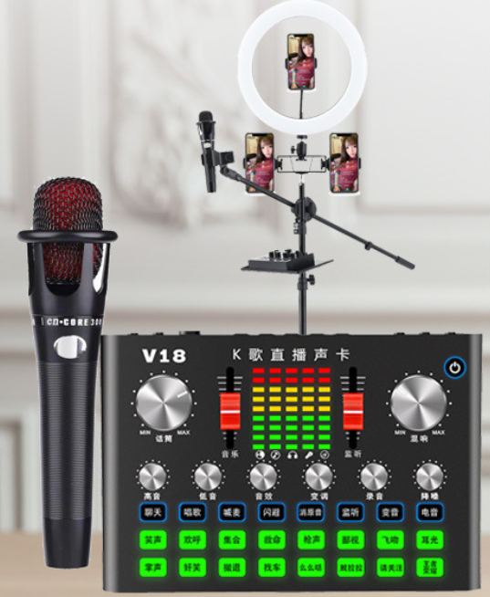 V18 Live Streaming Equipment Set (V18+E300+26CM Fill Light Floor Bracket + Headset + OTG (Choose One of the Two))