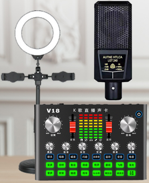 V18 Live Streaming Equipment Set (V18+240+Duck Palm Microphone Bracket + 16CM Fill Light Desktop Bracket + Headphones + OTG (Choose One of the Two))
