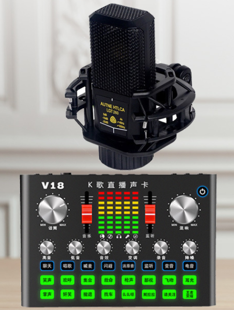 V18 Live Streaming Equipment Set (V18+260+Duck Palm Microphone Bracket + Disc Mobile Phone Holder + Headset + OTG (Choose One))