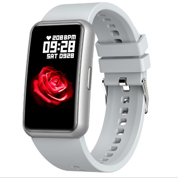 Blue Sports Waterproof Blood Pressure Heart Rate Bluetooth Smart Band Watch (Gray)