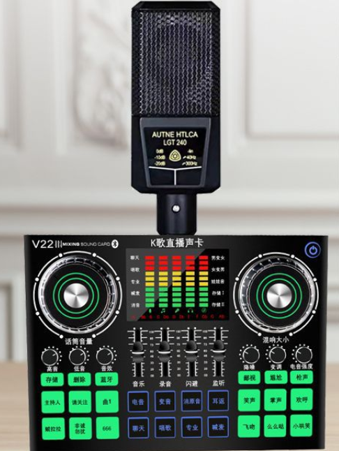 V22 Live Streaming Equipment Set (V22+240+Duck Palm Microphone Holder + Disc Mobile Phone Holder + Headset + OTG (Choose One))