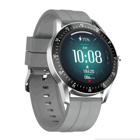 Heart Rate, Blood Pressure, Blood Oxygen, Exercise Monitoring, Waterproof Smart Watch (Classic Silver Gray)