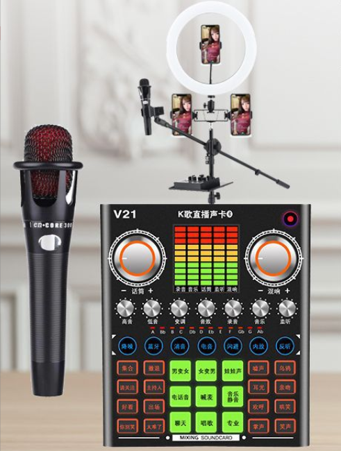 V21 Live Streaming Equipment Set (V21+E300+26CM Fill Light Floor Bracket + Headset + OTG (Choose One))