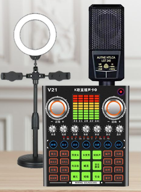 V21 Live Streaming Equipment Set (V21+240+ Duck Palm Microphone Bracket + 16CM Fill Light Desktop Bracket + Headset + OTG (Choose One of the Two))