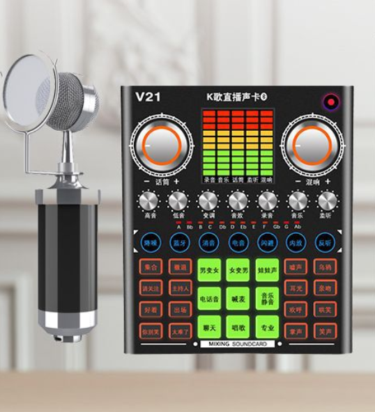 V21 Live Streaming Equipment Set (V21 + Baby Bottle Black + Duck Palm Microphone Holder + Disc Mobile Phone Holder + Headset + OTG (Choose One))