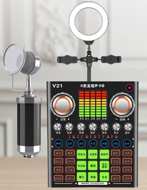 V21 Live Streaming Equipment Set (V21 + Baby Bottle Black + Duck Palm Microphone Bracket + 16CM Fill Light Desktop Bracket + Headset + OTG (Choose One of the Two))