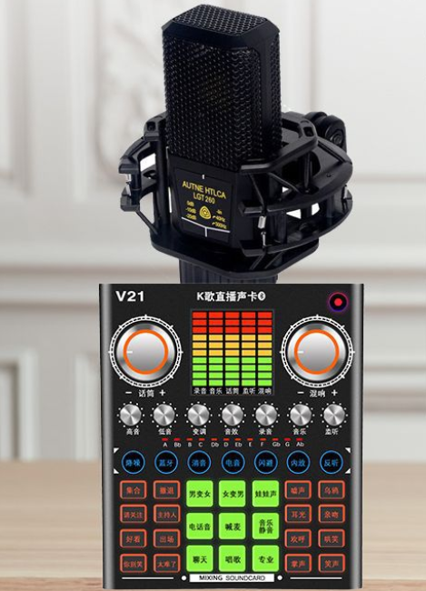 V21 Live Streaming Equipment Set (V21+260+Duck Palm Microphone Bracket + Disc Mobile Phone Holder + Headset + OTG (Choose One))