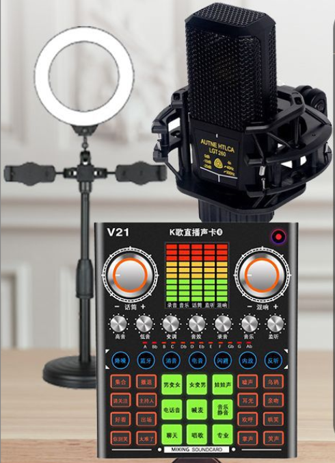 V21 Live Streaming Equipment Set (V21+260 + Duck Palm Microphone Bracket + 16CM Fill Light Desktop Bracket + Headphones + OTG (choose one of the two))