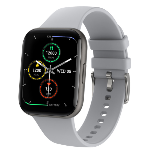 P25 Smart Watch Heart Rate and Blood Pressure Monitoring 1.69 Inch HD Full Touch Screen Sports Pedometer Bracelet (Black Gray)