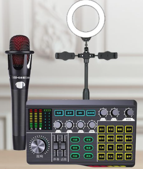 P1 Live Streaming Equipment Set (P1 + E300 + Triangle Microphone Stand + 16CM Fill Light Desktop Stand + Headset + OTG (Choose One))