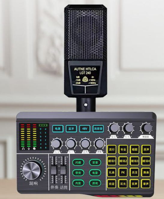 P1 Live Streaming Equipment Set (P1 + 240 + Duck Palm Microphone Stand + Disc Mobile Phone Holder + Headset + OTG (Choose One of the Two))