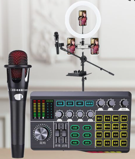 P1 Live Streaming Equipment Set (P1 + E300 + 26CM Fill Light Floor Stand + Headphones + OTG (choose one of the two))