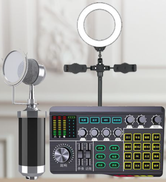 P1 Live Streaming Equipment Set (P1 + Baby Bottle Black + Duck Palm Microphone Bracket + 16CM Fill Light Desktop Bracket + Headphones + OTG (Choose One of the Two))