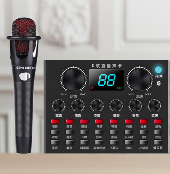 V8PLUS Live Streaming Equipment Package (V8PLUS+E300+Earphone+OTG (Choose One))