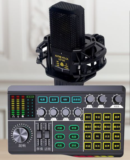 P1 Live Streaming Equipment Set (P1 + 260 + Duck Palm Microphone Stand + Disc Mobile Phone Holder + Headset + OTG (Choose One of the Two))