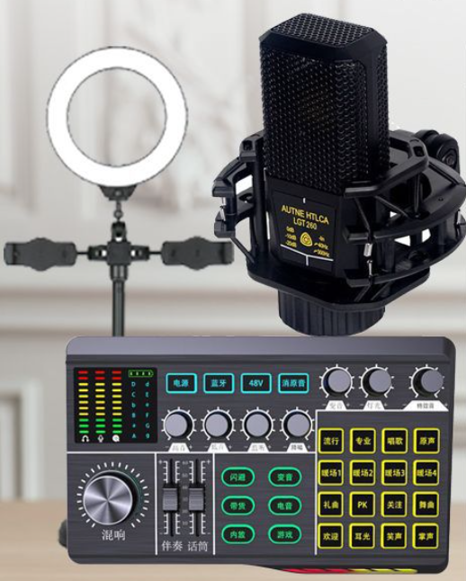 P1 Live Streaming Equipment Set (P1 + 260 + Duck Microphone Stand + 16CM Fill Light Desktop Stand + Headphones + OTG (Choose One of the Two))