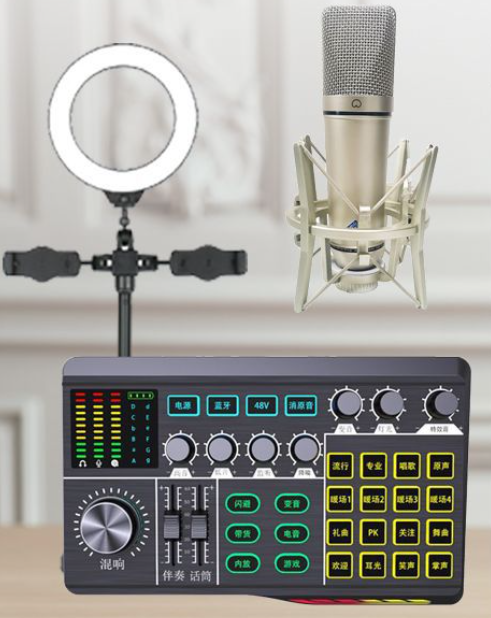P1 Live Streaming Equipment Set (P1 + U87 + Cantilever Microphone Stand + 16CM Fill Light Desktop Stand + Headset + OTG (choose one of the two))