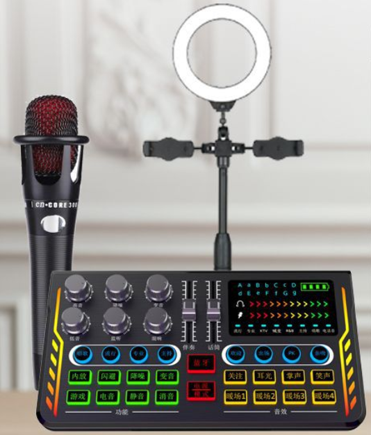 P2 Live Streaming Equipment Set (P2 + E300 + Triangle Microphone Stand + 16CM Fill Light Desktop Stand + Headset + OTG (Choose One of the Two))