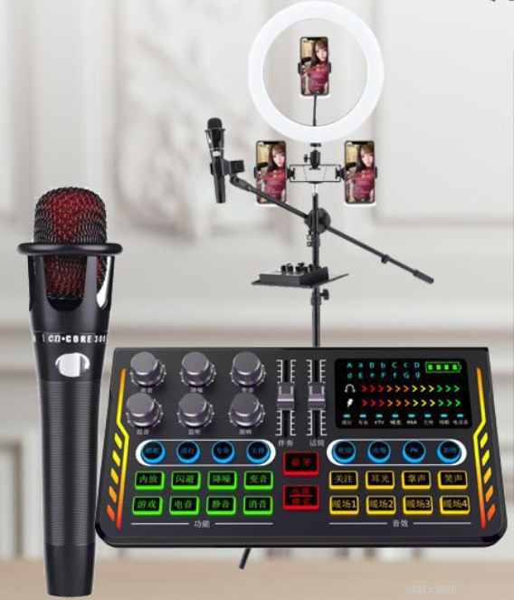 P2 Live Streaming Equipment Set (P2 + E300 + 26CM Fill Light Floor Stand + Headphones + OTG (Choose One of the Two))
