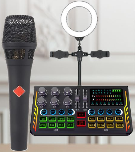 P2 Live Streaming Equipment Set (P2 + 105 Black + Disc Microphone Stand + 16CM Fill Light Desktop Stand + Headset + OTG (Choose One of the Two))