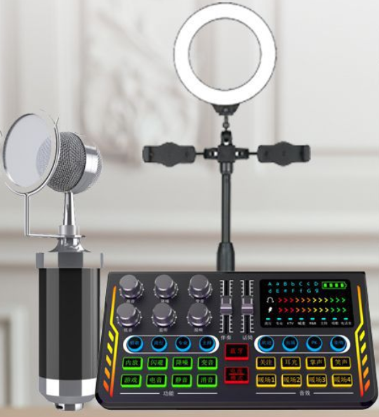 P2 Live Streaming Equipment Set (P2 + Baby Bottle Black + Duck Palm Microphone Bracket + 16CM Fill Light Desktop Bracket + Headphones + OTG (Choose One of the Two))