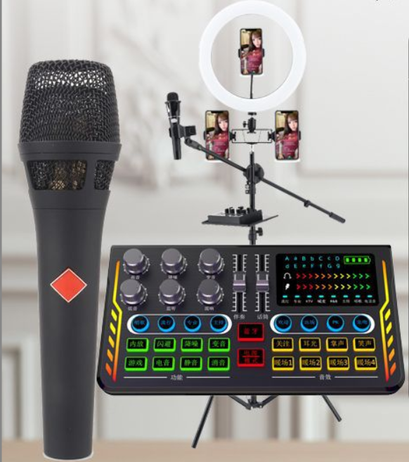 P2 Live Streaming Equipment Set (P2 + 105 Black + 26CM Fill Light Floor Stand + Headphones + OTG (Choose One of the Two))
