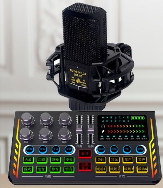 P2 Live Streaming Equipment Set (P2 + 260 + Duck Palm Microphone Stand + Disc Mobile Phone Holder + Headset + OTG (Choose One of the Two))