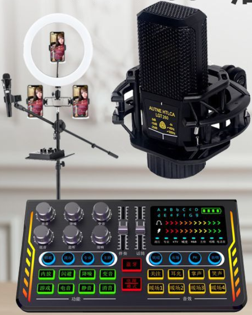 P2 Live Streaming Equipment Set (P2 + 260 + 26CM Fill Light Floor Bracket + Headphones + OTG (choose one of the two))