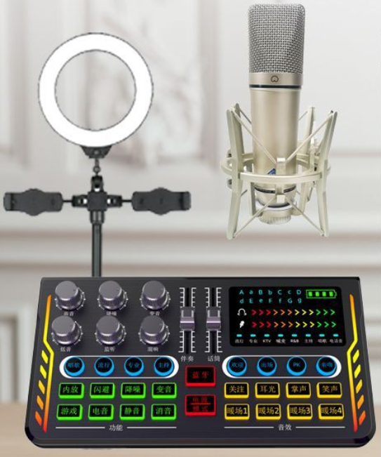 P2 Live Streaming Equipment Set (P2 + U87 + Cantilever Microphone Stand + 16CM Fill Light Desktop Stand + Headset + OTG (Choose One of the Two))