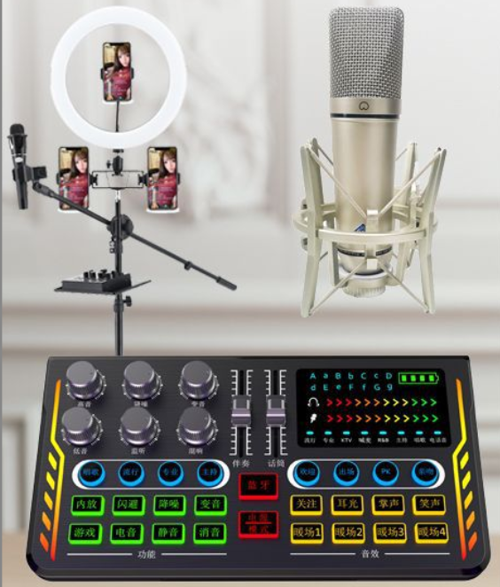 P2 Live Streaming Equipment Set (P2 + U87 + Cantilever Microphone Stand + 26CM Fill Light Floor Stand + Headset + OTG (choose one of the two))