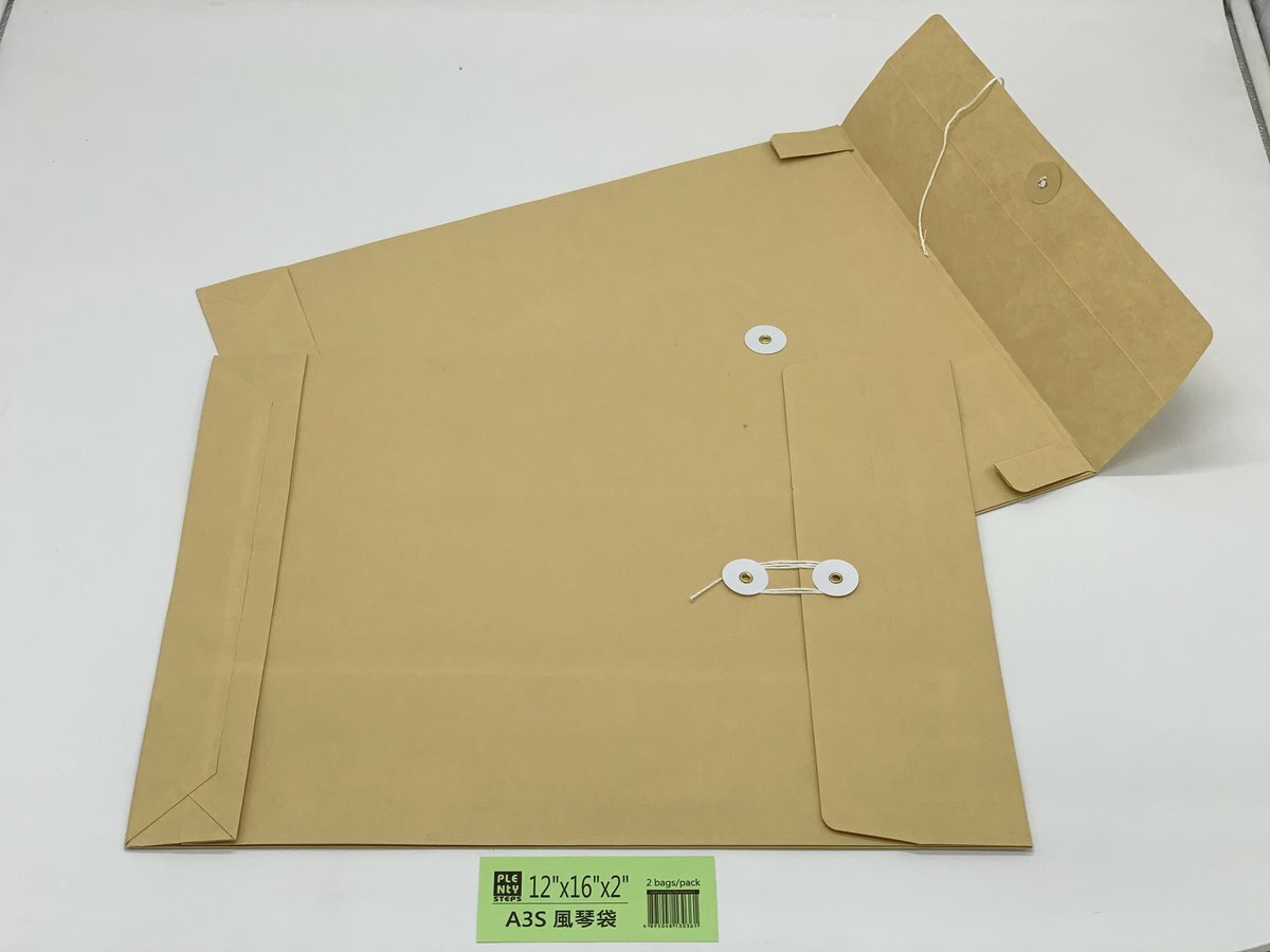 12"X 16"+2" 風琴式 牛皮公文袋 （2個）, 繞繩雞眼封口