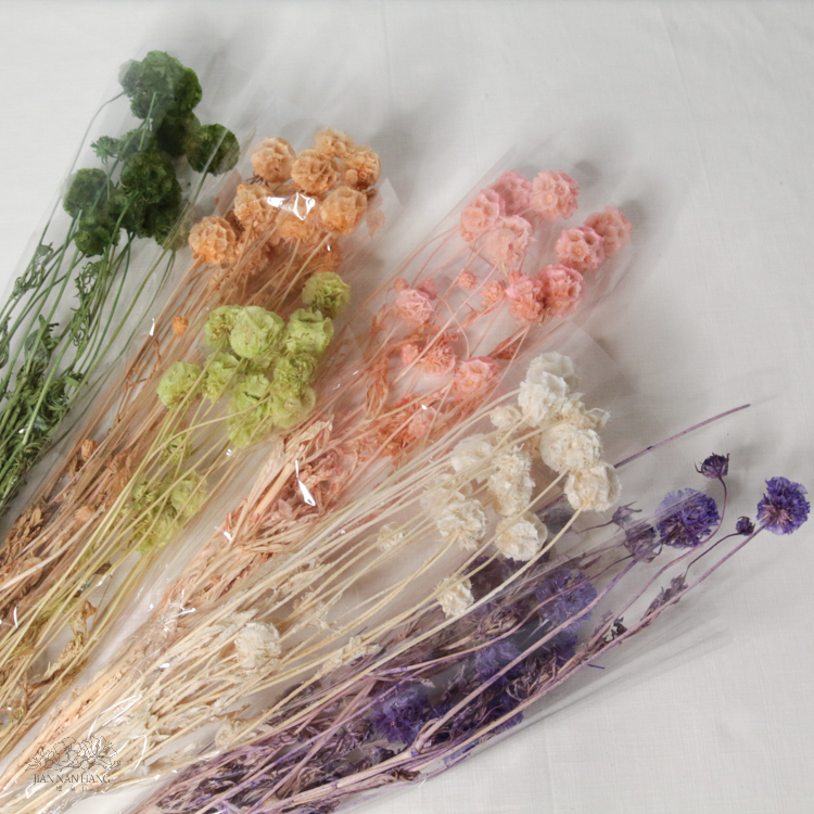 乾燥花 松蟲果 小包