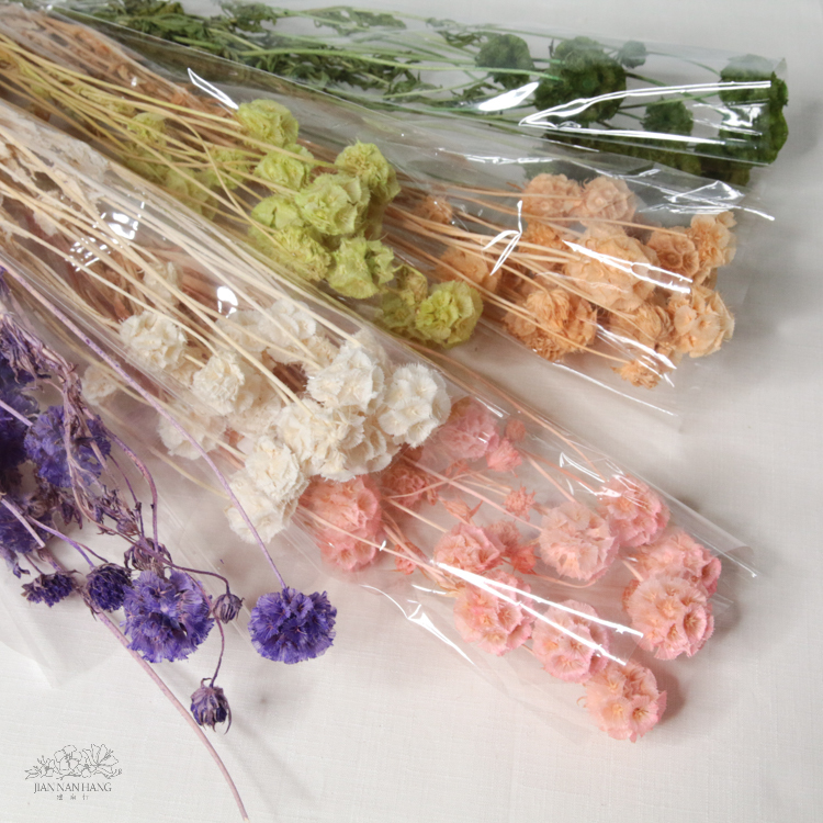 乾燥花 松蟲果 小包