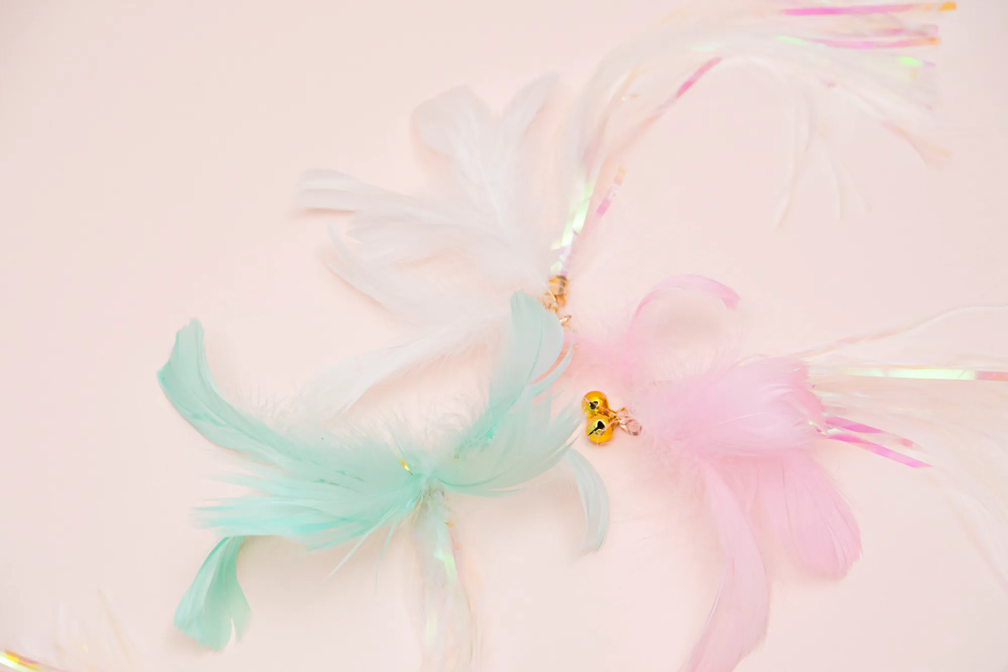 Zooahpet｜極光花（顏色隨機出貨）