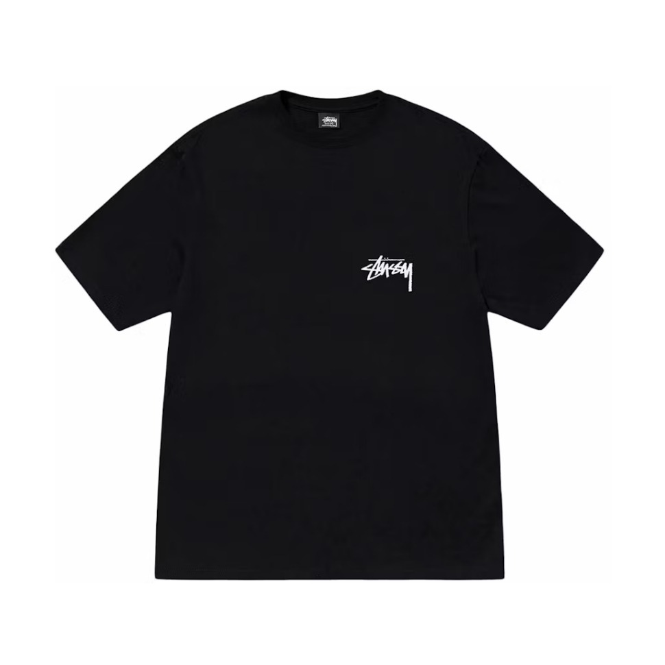 2024SS STUSSY TUCAN TEE 大嘴鳥 LOGO 字體 短T 現貨 1905069