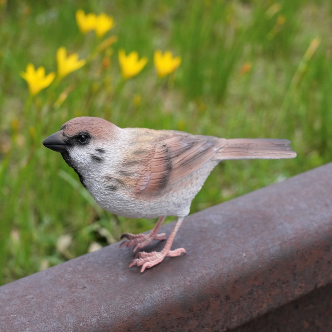 日本 magnet Birdie Bill 【麻雀】