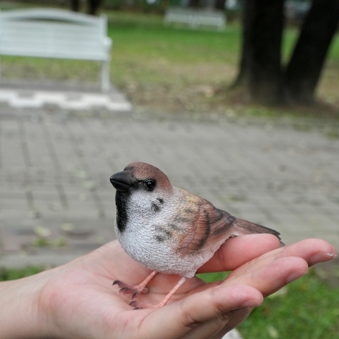 日本 magnet Birdie Bill 【麻雀】