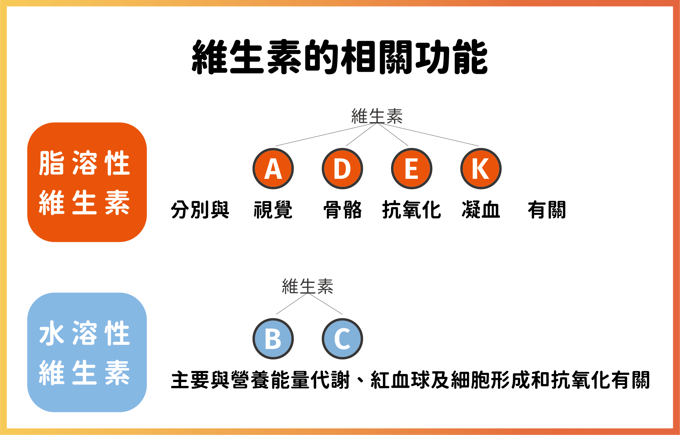 維生素的相關功能